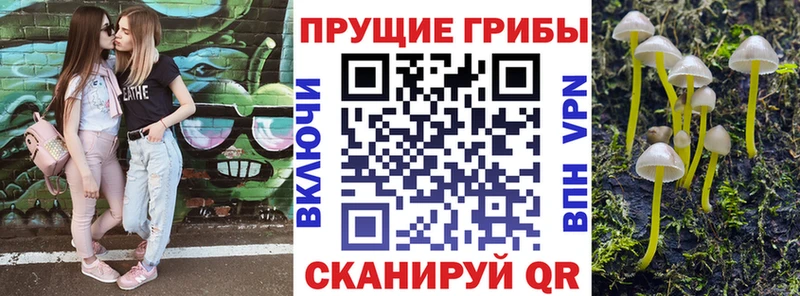 мориарти клад  Нижняя Салда  Галлюциногенные грибы GOLDEN TEACHER 